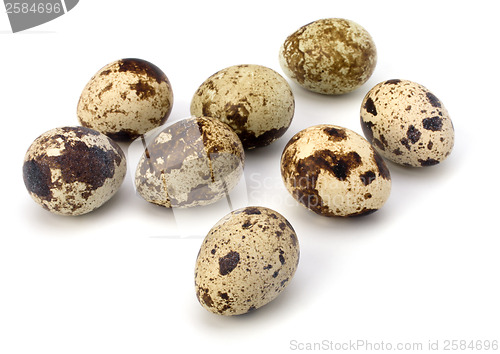 Image of quail eggs