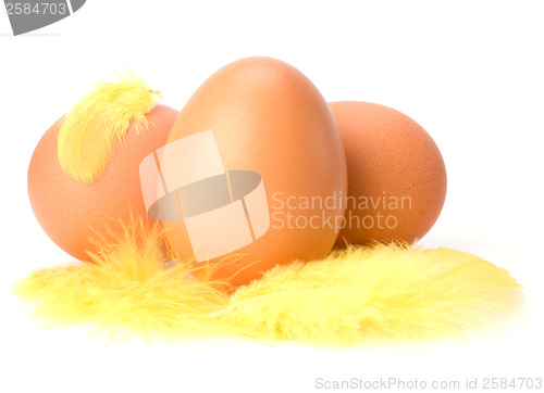 Image of Eggs and feather isolated on white background. Easter decor.