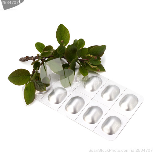 Image of herbal medicine isolated on white background 