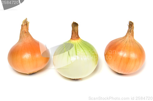 Image of onion isolated on white background