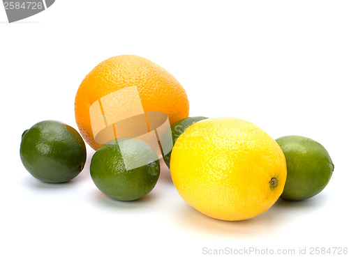 Image of Citrus fruits