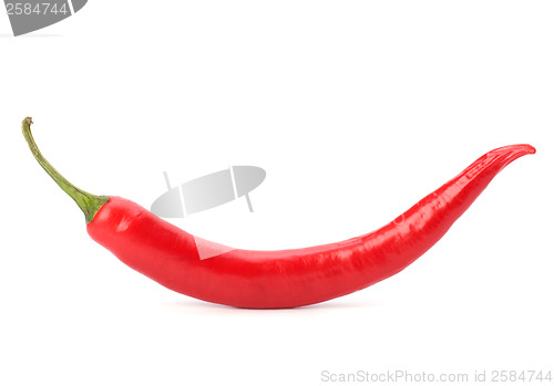 Image of Chili pepper isolated on white background