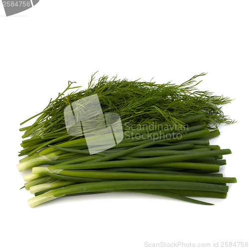 Image of dill and young onion isolated on white background