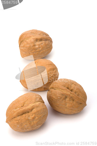 Image of Circassian walnut isolated on the white background 