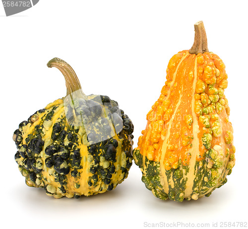 Image of Decorative pumpkin 