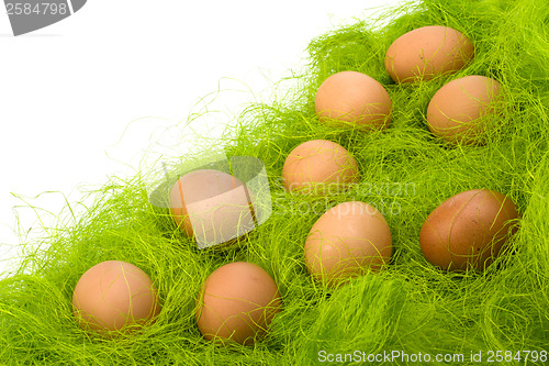 Image of eggs border 