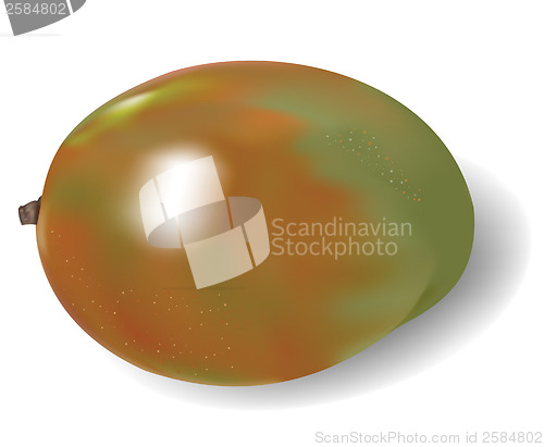 Image of raster. mango