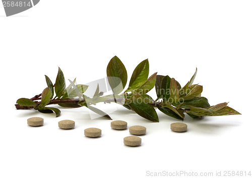 Image of herbal medicine isolated on white background 