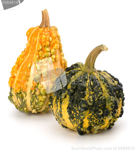 Image of Decorative pumpkin 