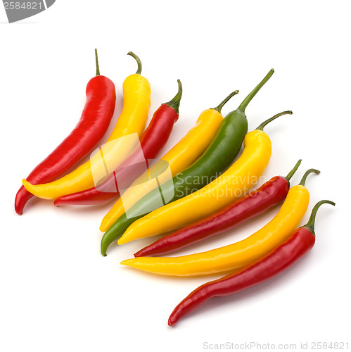 Image of Chili pepper isolated on white background