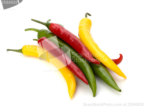 Image of Chili pepper isolated on white background