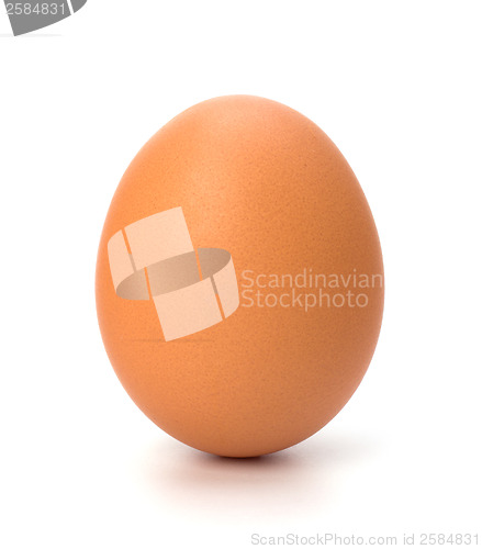 Image of egg