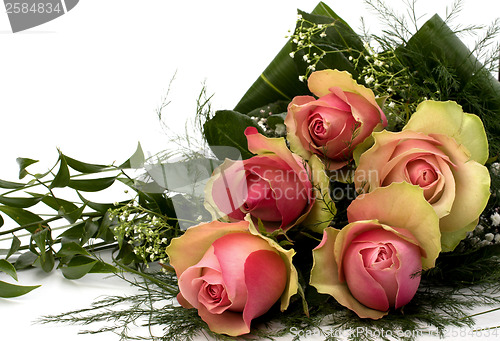 Image of Beautiful roses
