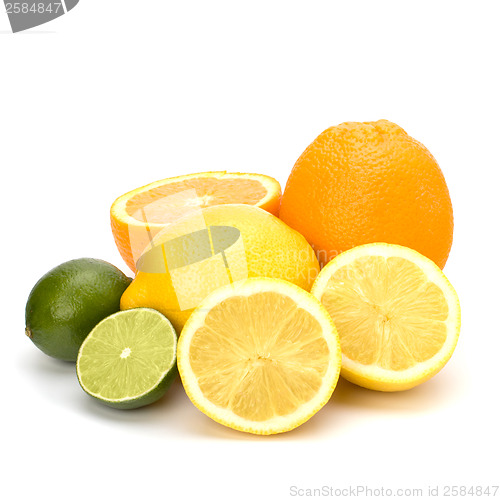 Image of Citrus fruits