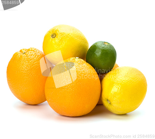 Image of Citrus fruits