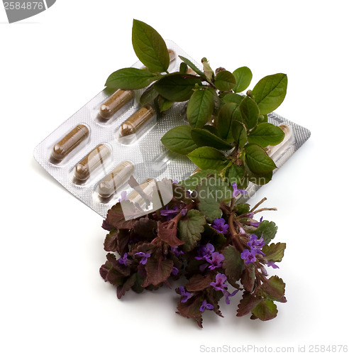 Image of herbal medicine isolated on white background 