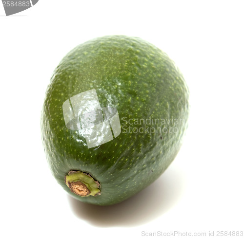 Image of avocado isolated on white