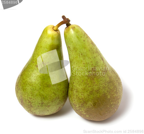 Image of two pears isolated on the white background