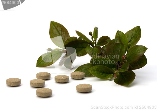 Image of herbal medicine isolated on white background 