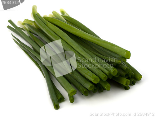 Image of spring onion 