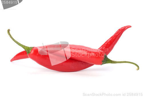 Image of Chili pepper isolated on white background