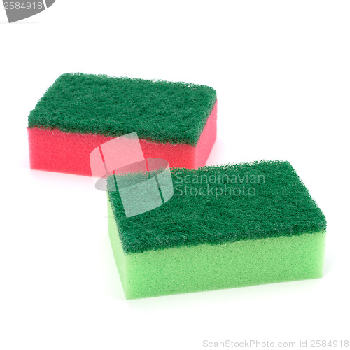 Image of sponges 