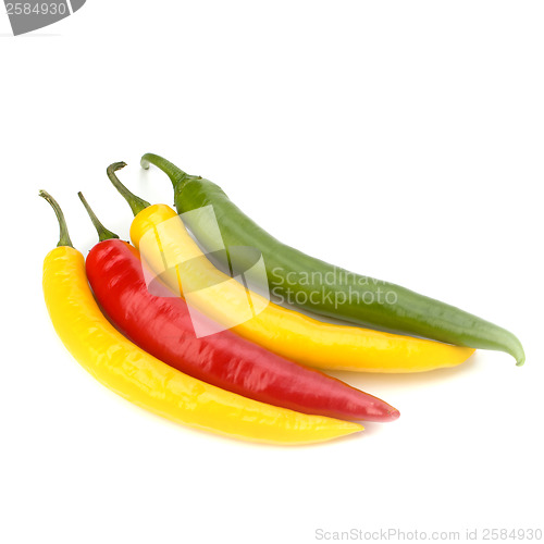 Image of Chili pepper isolated on white background