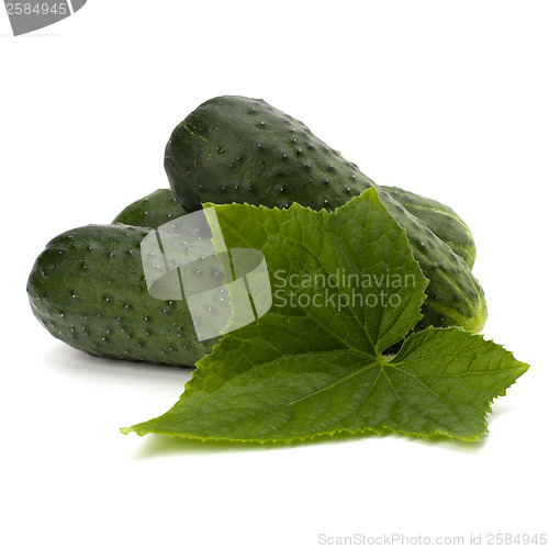 Image of cucumber