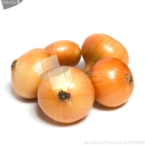 Image of onion isolated on white background