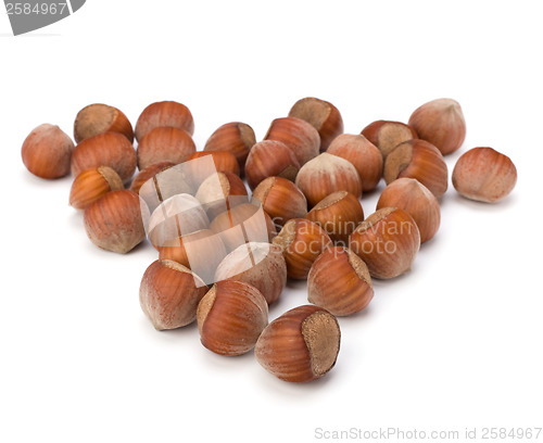 Image of hazelnuts isolated on white background