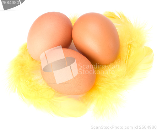 Image of Eggs and feather isolated on white background. Easter decor.