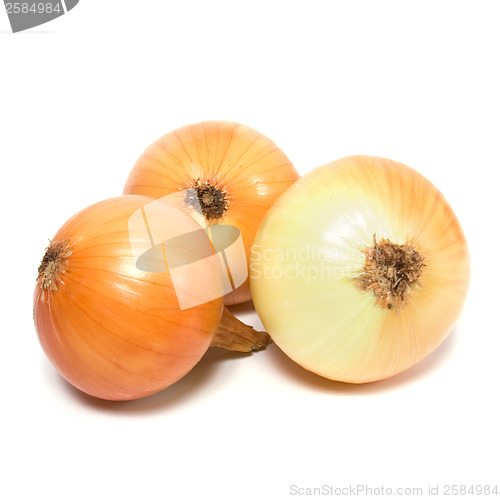 Image of onion isolated on white background