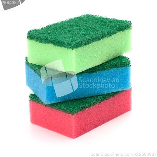 Image of sponges 