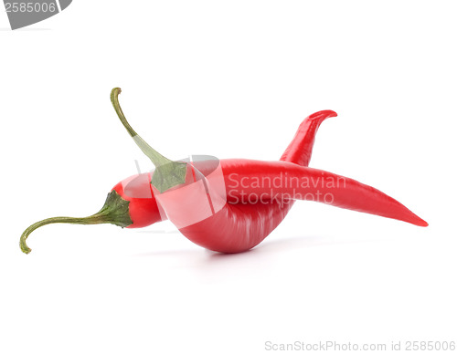 Image of Chili pepper isolated on white background