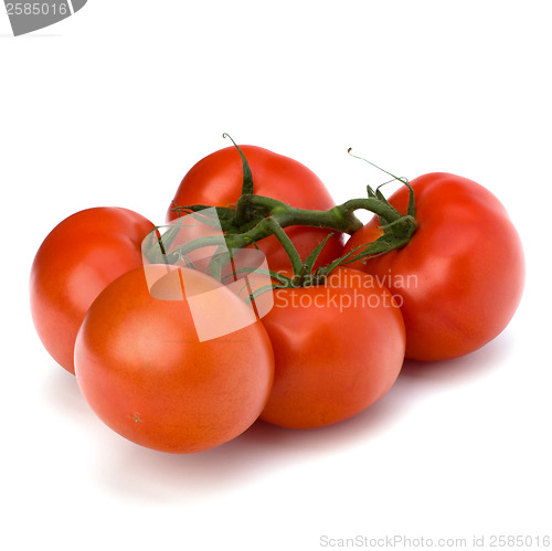 Image of red tomato isolated on the white background 