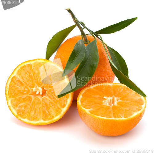 Image of tangerines 