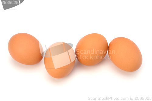 Image of Eggs  