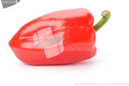 Image of sweet pepper isolated on white background 