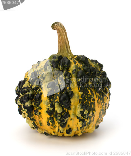 Image of Decorative pumpkin 