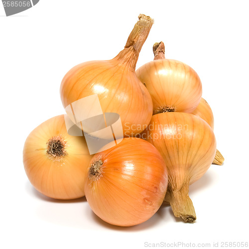 Image of onion isolated on white background