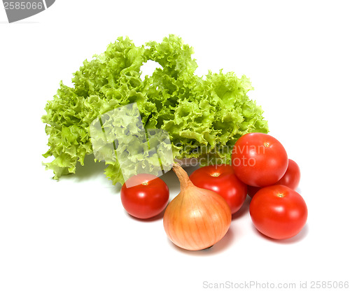 Image of Lettuce salad and vegetables isolated on white background 
