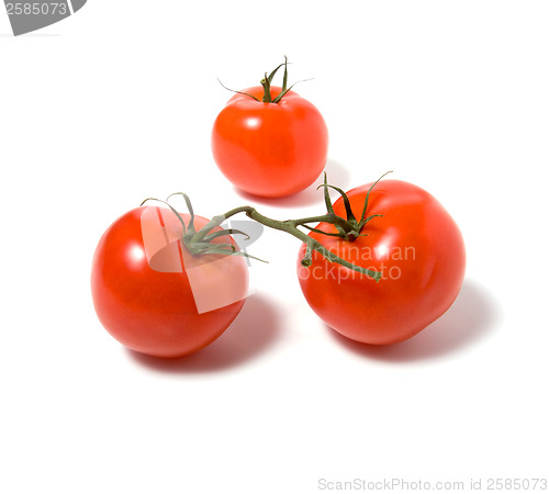 Image of two tomato isolated on the white background 