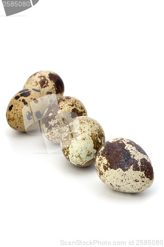 Image of quail eggs