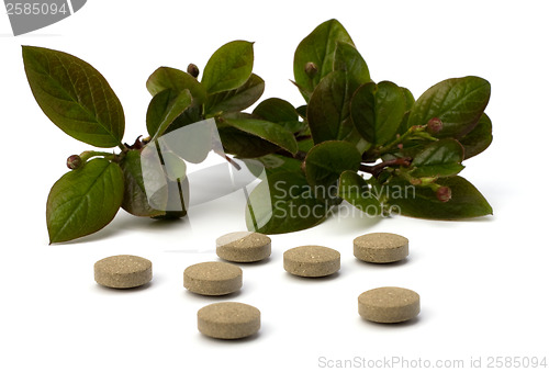 Image of herbal medicine isolated on white background 