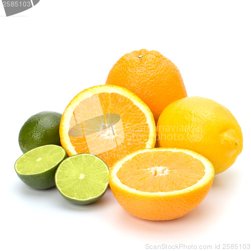 Image of Citrus fruits