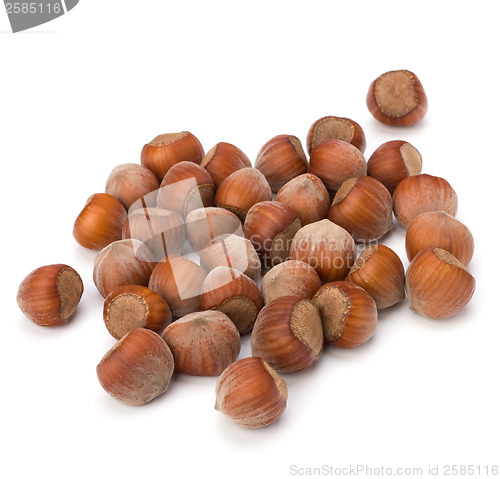 Image of hazelnuts isolated on white background