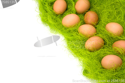 Image of eggs border 