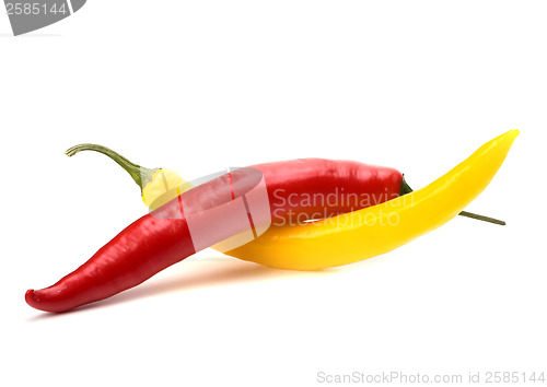 Image of Chili pepper isolated on white background