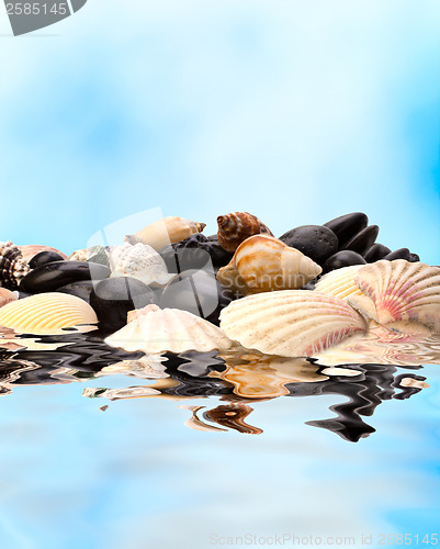 Image of Summer holidays concept. Beach with pebbles and shells.