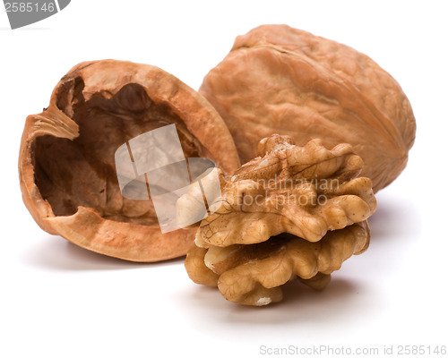 Image of walnut